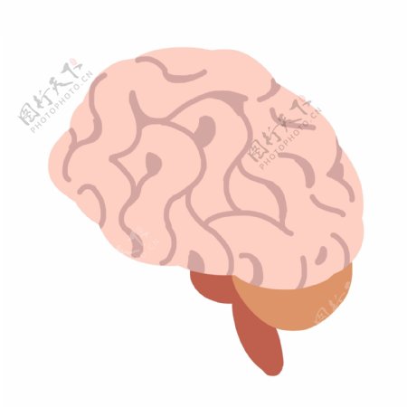 卡通人体大脑插画