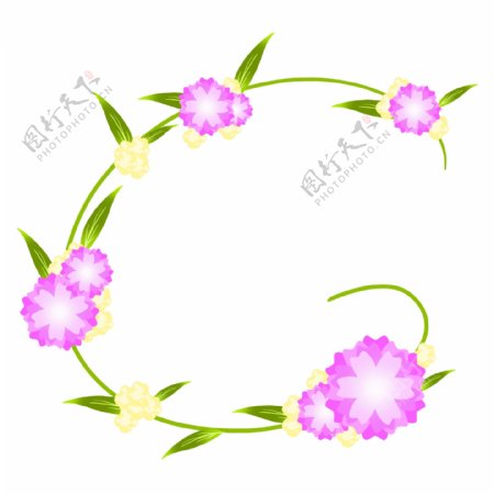 紫色花朵花藤插画