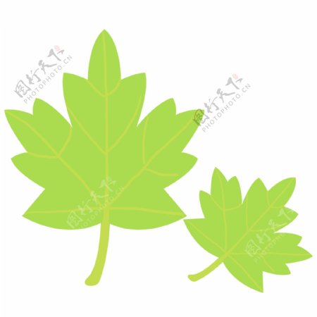 浅绿色卡通手绘绿色枫叶树叶