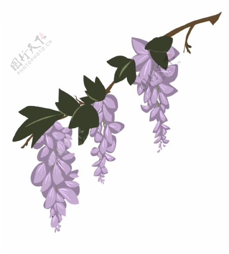 卡通紫色花朵插画