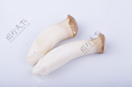 实物图摄影图蔬菜鸡腿菇2