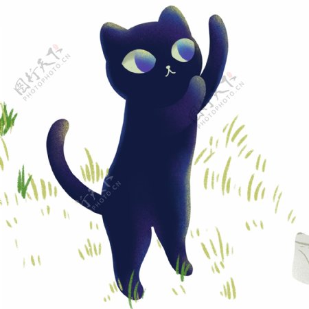 可爱蓝色小猫咪图案