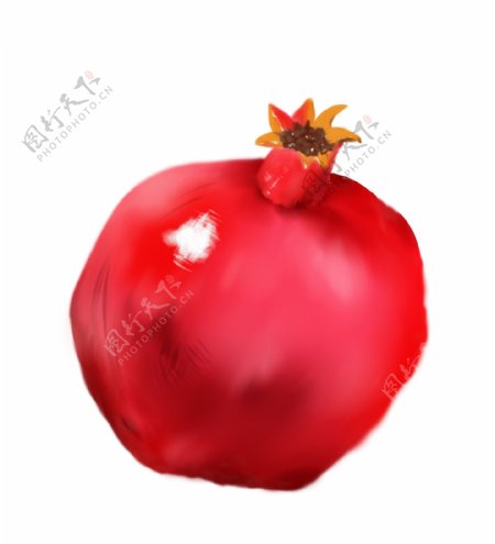 红石榴水果手绘插画