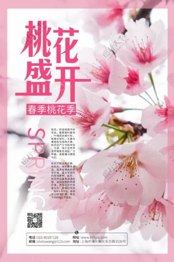 小清新春季桃花盛开旅游海报