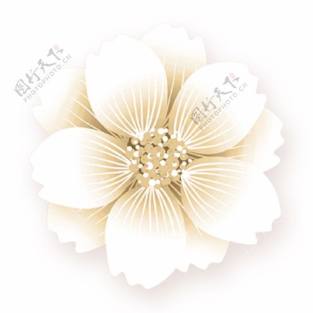 白色花朵装饰卡通透明素材