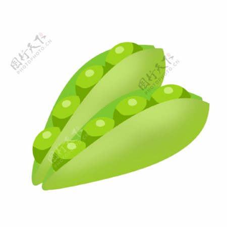 绿色豆角食材