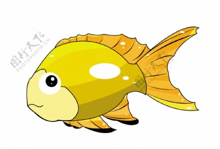 水生鱼类黄色