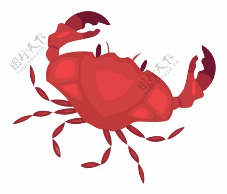 红色螃蟹动物