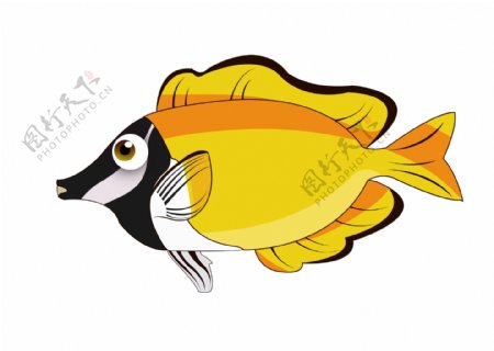 黄色尖嘴鱼生物