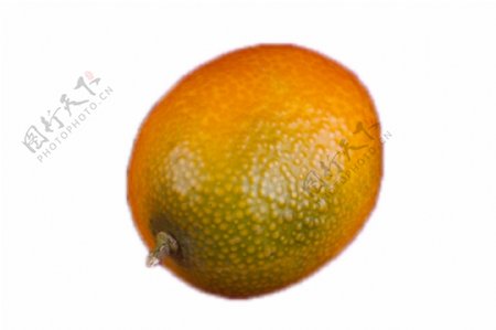 一个汁多皮薄的大橘子