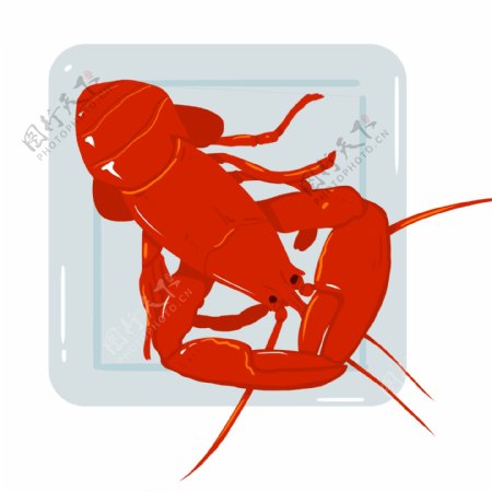 红色龙虾卡通插画