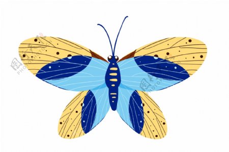 黄蓝色蝴蝶装饰插画