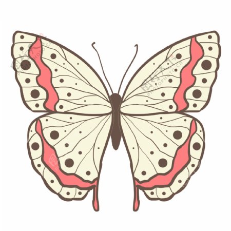 动物昆虫蝴蝶