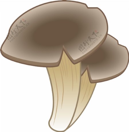 可爱山间小蘑菇