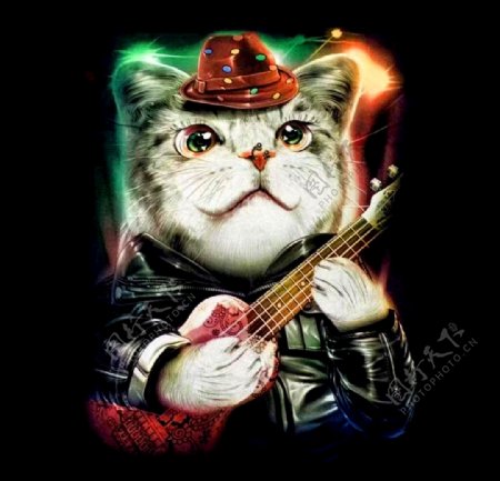 弹小提琴的猫
