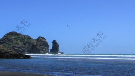 新西兰皮哈海滨自然风景
