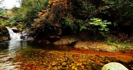 深秋的林间溪流风景