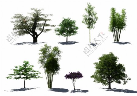 园林景观效果图植物psd抠图素材