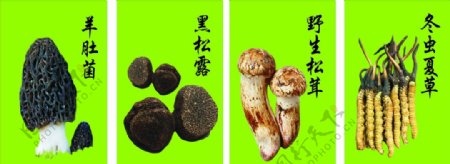 菌菇海报
