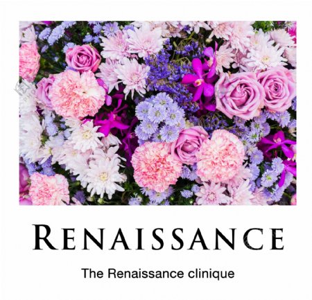 renaissance鲜花设计