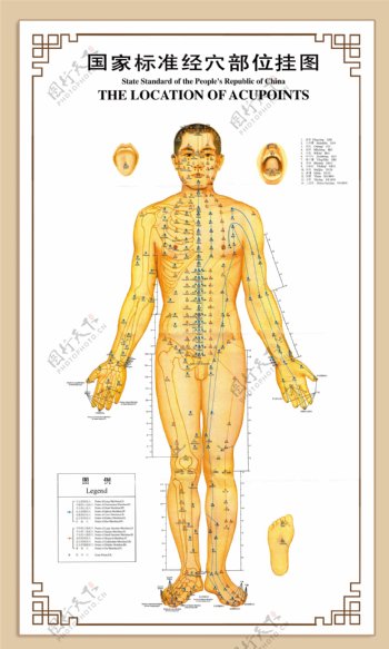 国家标准经穴部位挂图