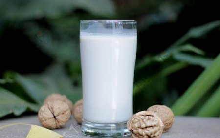 核桃乳蛋白饮品牛奶