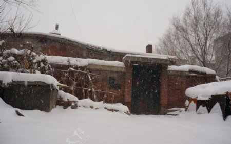东北雪房子