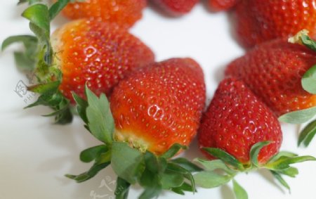 鲜甜可口的草莓