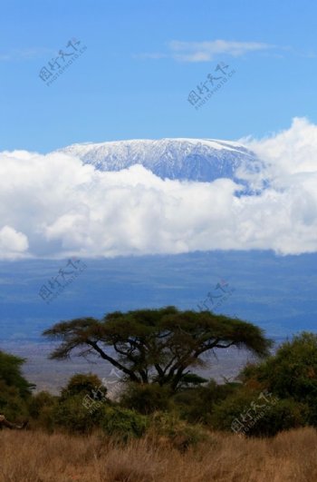 坦桑尼亚乞力马扎罗山风景摄影