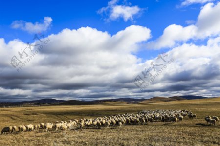 内蒙古乌兰布统草原