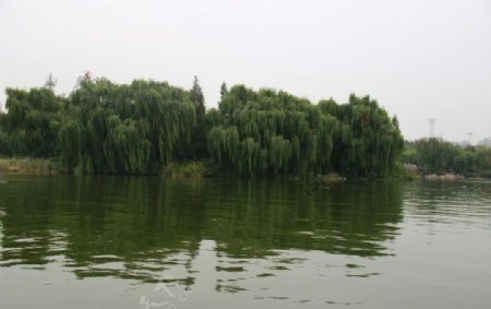 大明湖