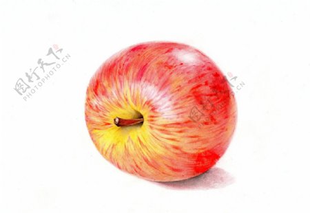 彩铅苹果绘画