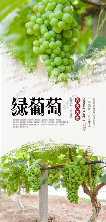 绿葡萄水果海报