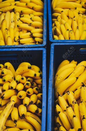 香蕉软糯香甜的香蕉