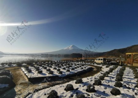 富士山