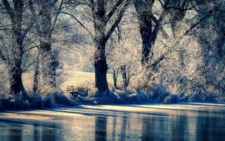 树林河水雪景