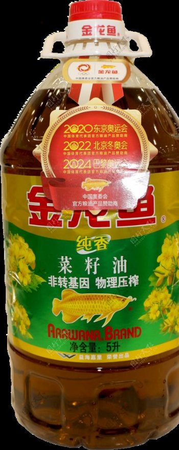 金龙鱼菜籽油