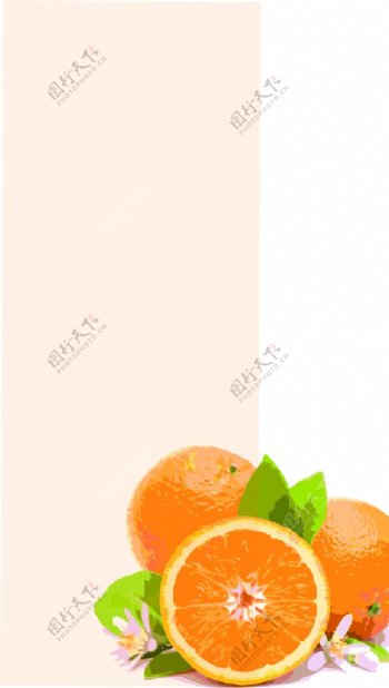 橙子味