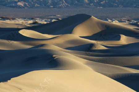 沙漠沙丘沙滩