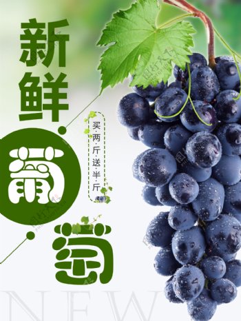 水果详情页水果海报素材葡萄