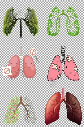 卡通创意肺