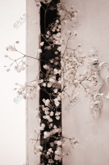 花朵花枝墙壁艺术背景素材