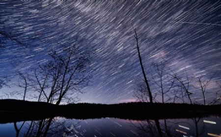 夜空繁星森林自然生态背景素材