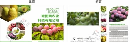 农产品公司农业水果产品折页