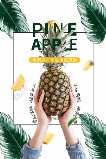 菠萝凤梨水果宣传海报素材