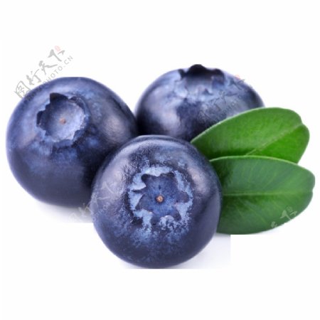 免扣水果蓝莓