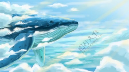 唯美梦幻治愈鲸鱼插画
