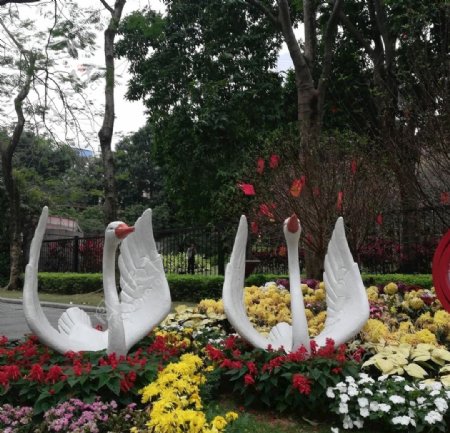 菊花丛的白天鹅雕塑