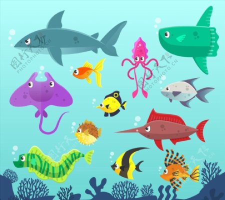 海洋动物矢量图片