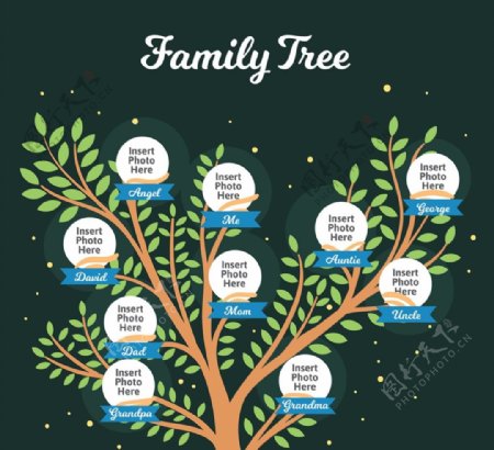 创意绿色家族树图片